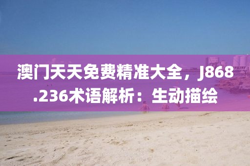 澳门天天免费精准大全，J868.236术语解析：生动描绘