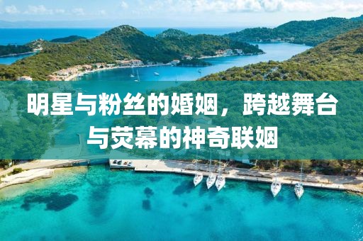 明星与粉丝的婚姻，跨越舞台与荧幕的神奇联姻