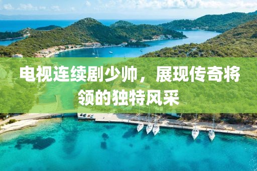 电视连续剧少帅，展现传奇将领的独特风采