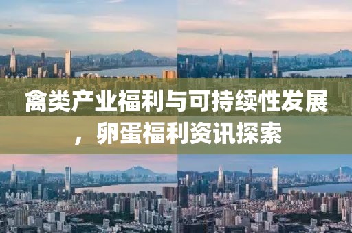 禽类产业福利与可持续性发展，卵蛋福利资讯探索