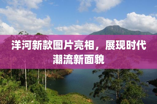 洋河新款图片亮相，展现时代潮流新面貌