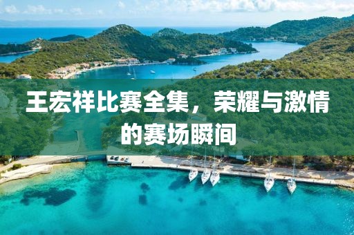 王宏祥比赛全集，荣耀与激情的赛场瞬间
