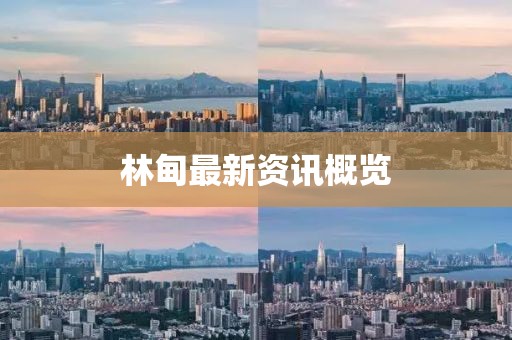 林甸最新资讯概览