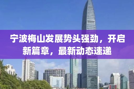 宁波梅山发展势头强劲，开启新篇章，最新动态速递