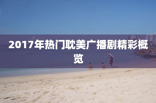 2017年热门耽美广播剧精彩概览