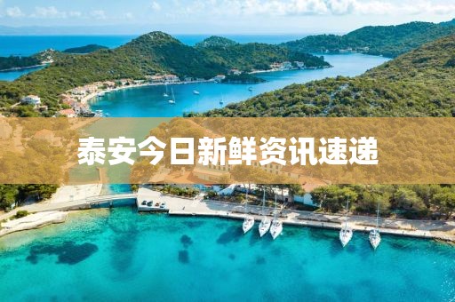 泰安今日新鲜资讯速递