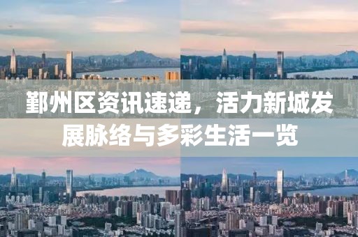 鄞州区资讯速递，活力新城发展脉络与多彩生活一览
