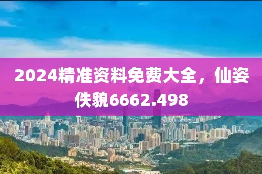 2024精准资料免费大全，仙姿佚貌6662.498
