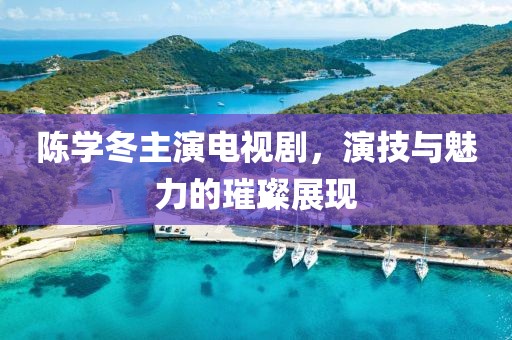 陈学冬主演电视剧，演技与魅力的璀璨展现