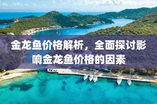 金龙鱼价格解析，全面探讨影响金龙鱼价格的因素