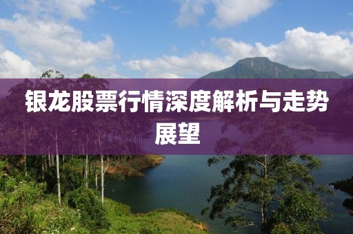 银龙股票行情深度解析与走势展望