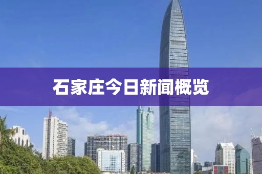 石家庄今日新闻概览