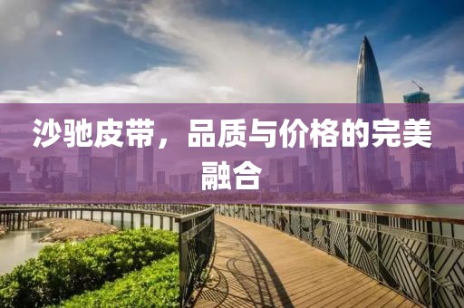 沙驰皮带，品质与价格的完美融合