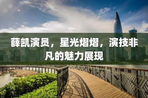 薛凯演员，星光熠熠，演技非凡的魅力展现