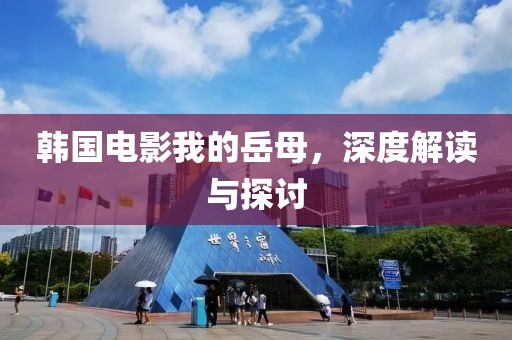 韩国电影我的岳母，深度解读与探讨