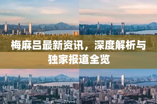 梅麻吕最新资讯，深度解析与独家报道全览