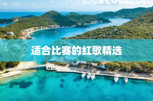 适合比赛的红歌精选