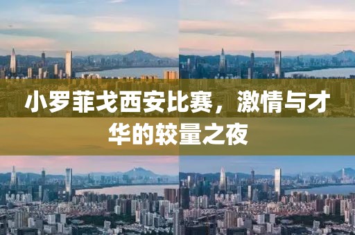 小罗菲戈西安比赛，激情与才华的较量之夜