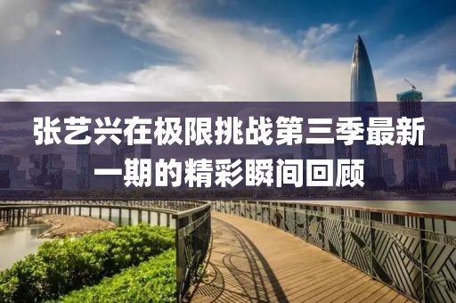 张艺兴在极限挑战第三季最新一期的精彩瞬间回顾