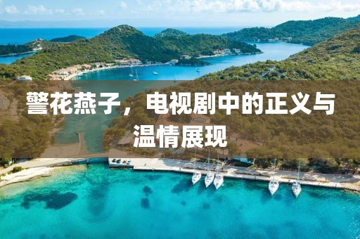 警花燕子，电视剧中的正义与温情展现