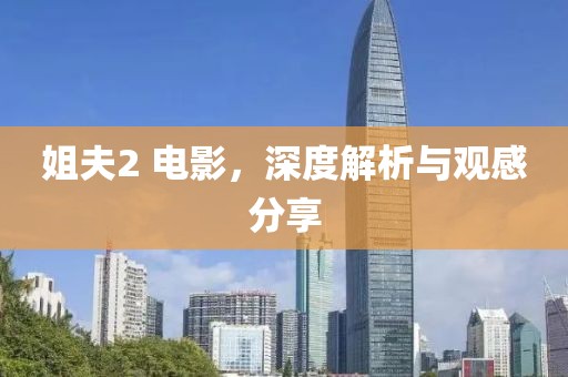 姐夫2 电影，深度解析与观感分享