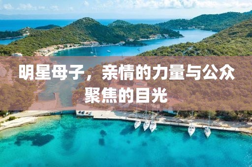 明星母子，亲情的力量与公众聚焦的目光