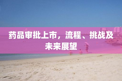 药品审批上市，流程、挑战及未来展望