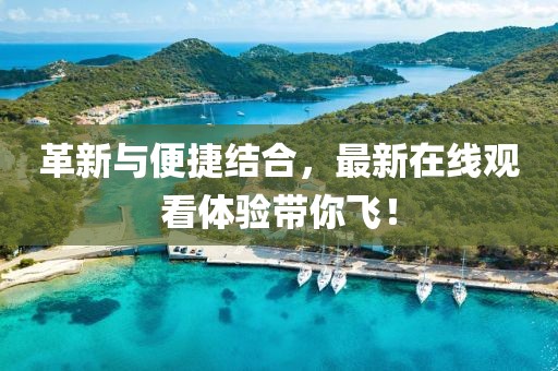 革新与便捷结合，最新在线观看体验带你飞！