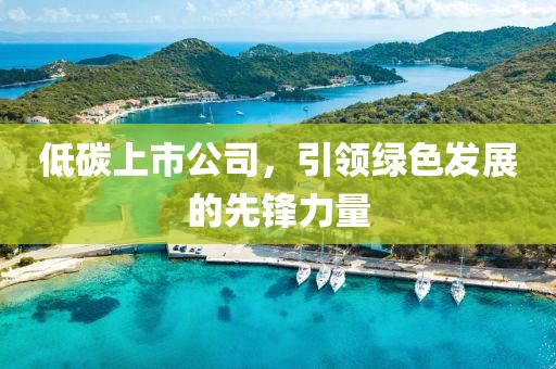 低碳上市公司，引领绿色发展的先锋力量