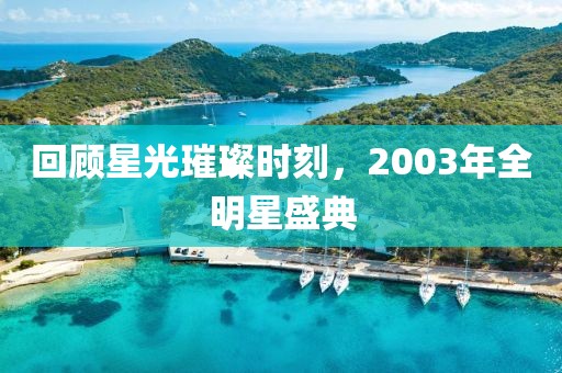 回顾星光璀璨时刻，2003年全明星盛典
