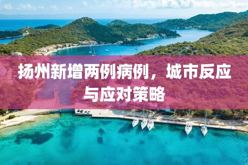 扬州新增两例病例，城市反应与应对策略