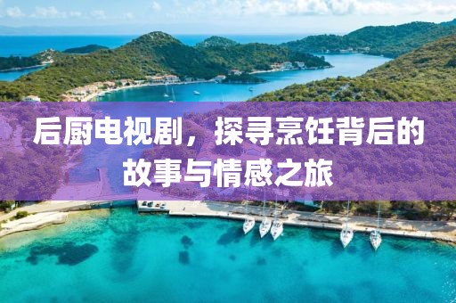 后厨电视剧，探寻烹饪背后的故事与情感之旅
