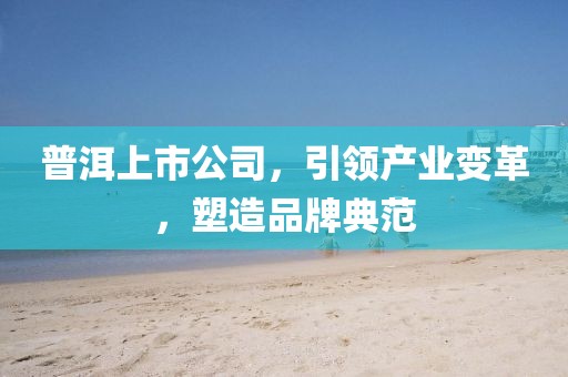 普洱上市公司，引领产业变革，塑造品牌典范