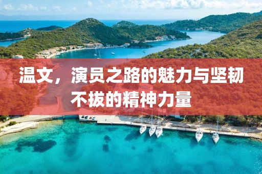 温文，演员之路的魅力与坚韧不拔的精神力量