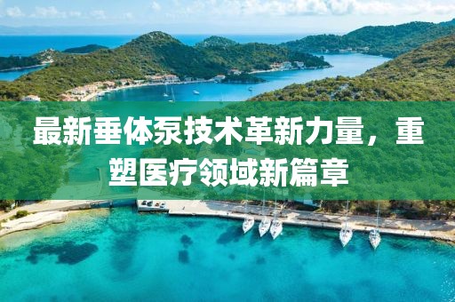 最新垂体泵技术革新力量，重塑医疗领域新篇章