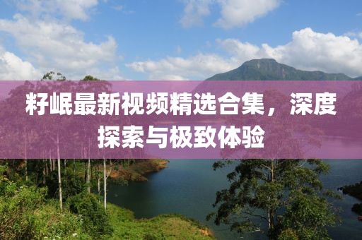 籽岷最新视频精选合集，深度探索与极致体验