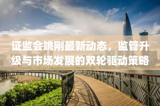 证监会姚刚最新动态，监管升级与市场发展的双轮驱动策略