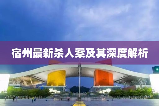 宿州最新杀人案及其深度解析