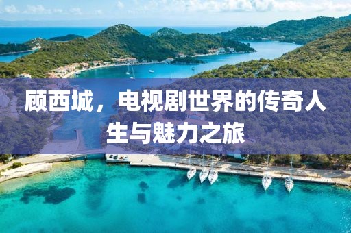 顾西城，电视剧世界的传奇人生与魅力之旅