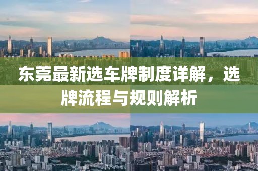 东莞最新选车牌制度详解，选牌流程与规则解析