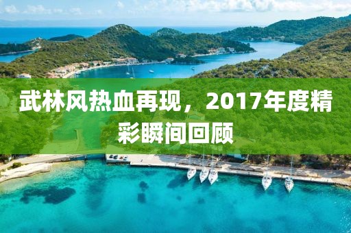 武林风热血再现，2017年度精彩瞬间回顾