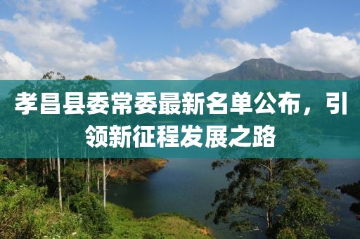 孝昌县委常委最新名单公布，引领新征程发展之路