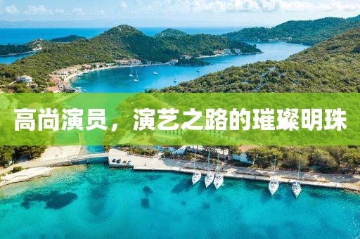 高尚演员，演艺之路的璀璨明珠