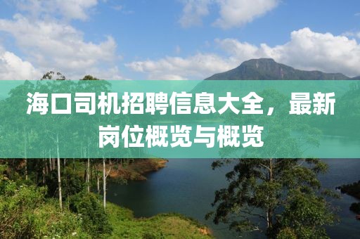 海口司机招聘信息大全，最新岗位概览与概览