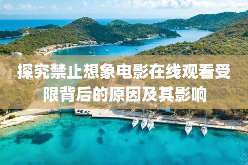 探究禁止想象电影在线观看受限背后的原因及其影响