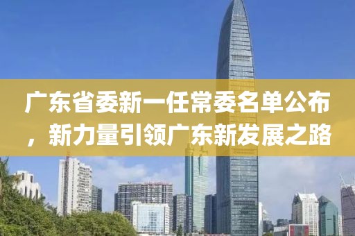 广东省委新一任常委名单公布，新力量引领广东新发展之路