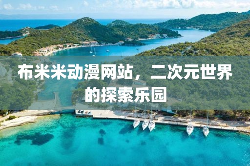 布米米动漫网站，二次元世界的探索乐园