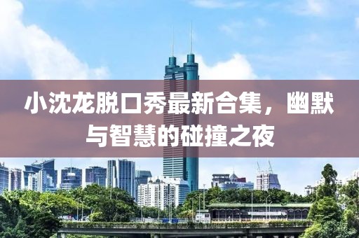 小沈龙脱口秀最新合集，幽默与智慧的碰撞之夜