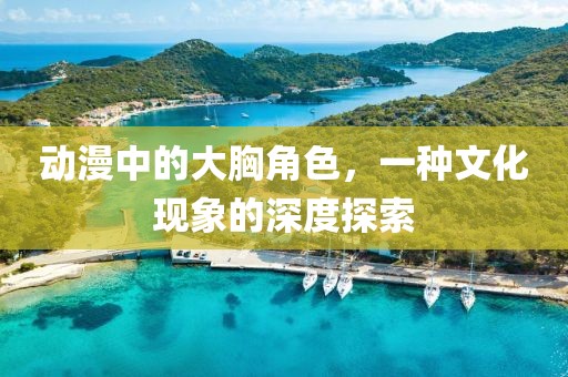 动漫中的大胸角色，一种文化现象的深度探索