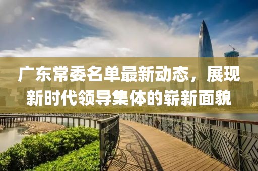 广东常委名单最新动态，展现新时代领导集体的崭新面貌